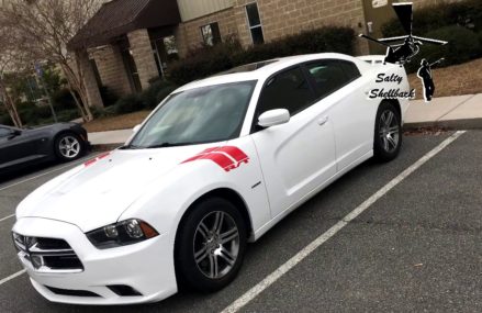 Dodge Charger RT fender stripes at 78710 Austin TX