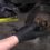 How to replace front Brake pads on Dodge Dakota 2WD Springfield Missouri 2018