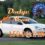 Dodge Stratus Haynes Manual in Saint Charles 48655 MI