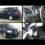 2013 Dodge Grand Caravan SE in Sioux Falls, SD 57106 Local Midland 79701 TX