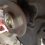 Dodge Caliber Wheel Bearing From Dallas 75387 TX USA