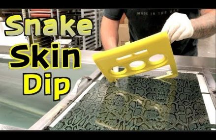 Hydro Dipping my Dodge Challenger – Snake skin Dip Local Area 49012 Augusta MI