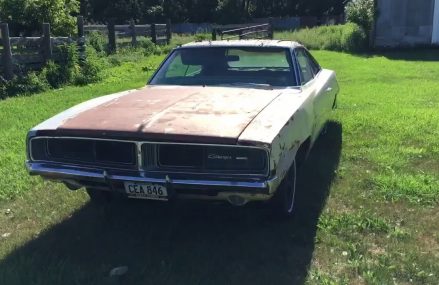 Two 1969 Dodge chargers found being guarded by killer mosquitoes and rust Now at 17503 Bart PA