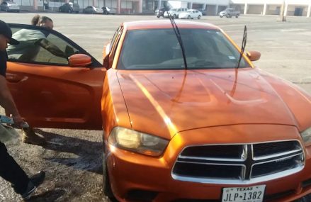 Orange Charger on 24s For 95518 Arcata CA