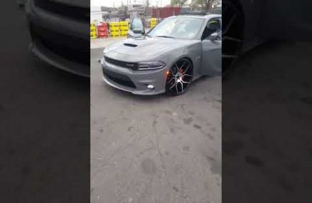 Charger Scatpack on 24s in 31003 Allentown GA