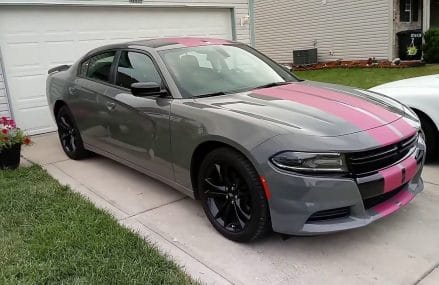 2018 Dodge Charger SXT Blacktop Package aftermarket matt pink stripes Near 55909 Adams MN