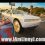 Linny J: Pearl White Dodge Challenger on Gold DUB 32's at Lockport 14095 NY