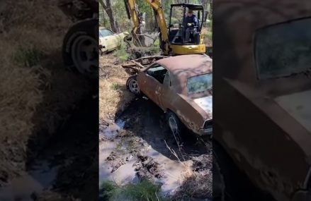 We pulled a Dodge Challenger out of the NC swamp! at Los Angeles 90044 CA