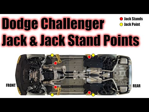 Challenger Jack Points, Stand Points 2019