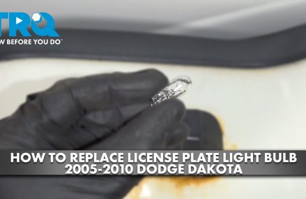 Dodge Stratus License Plate Light at Norfolk 23512 VA